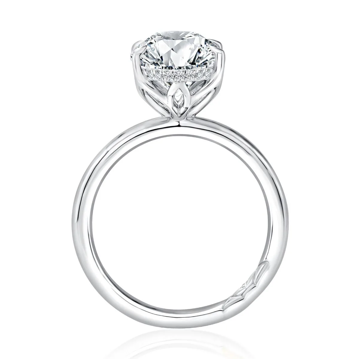 Oval Hidden Halo Diamond Engagement Ring, photograph 3
