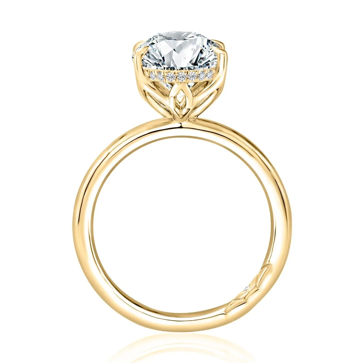 Oval Hidden Halo Diamond Engagement Ring, photograph 6