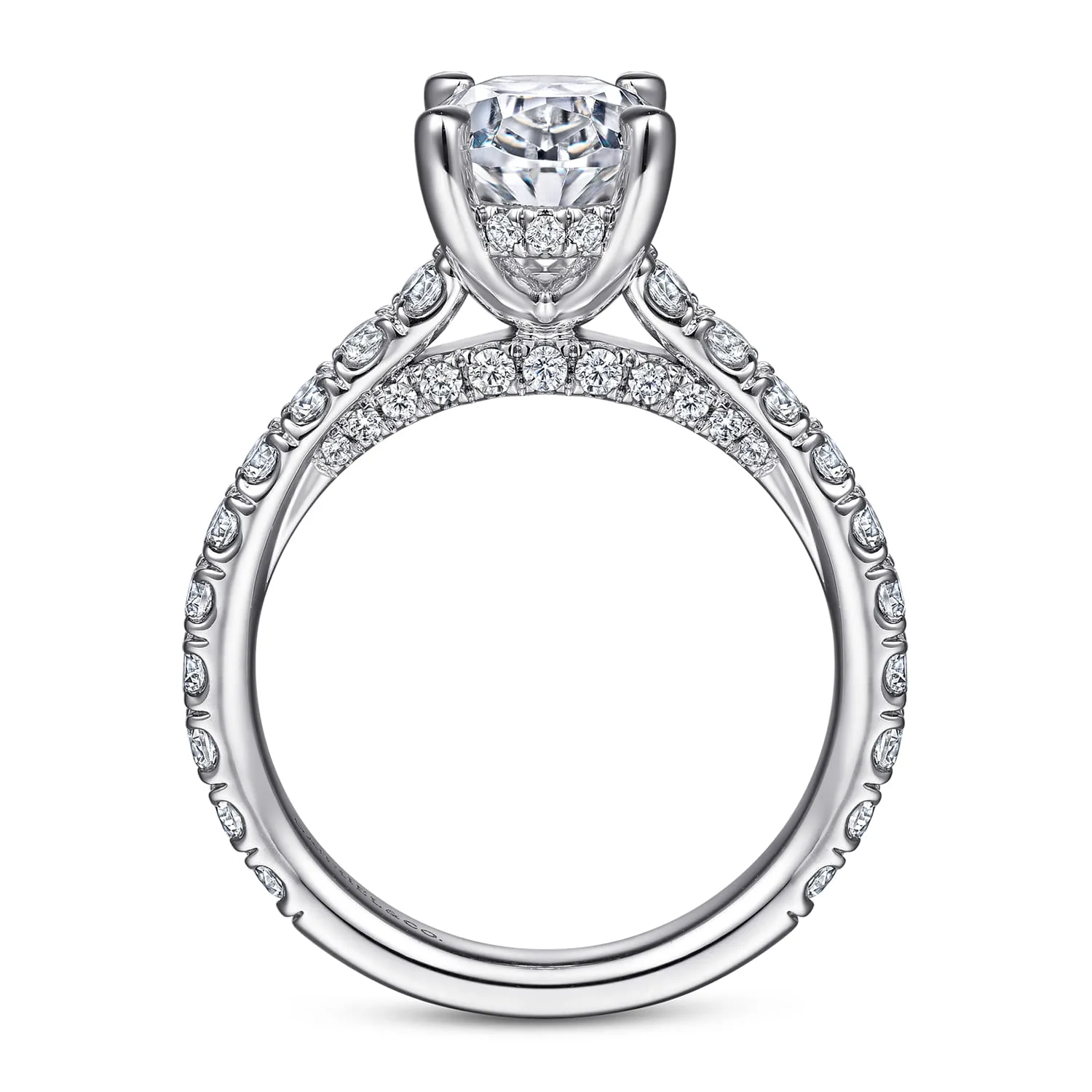 Oval Diamond Engagement Ring in 14K White Gold, photograph 2