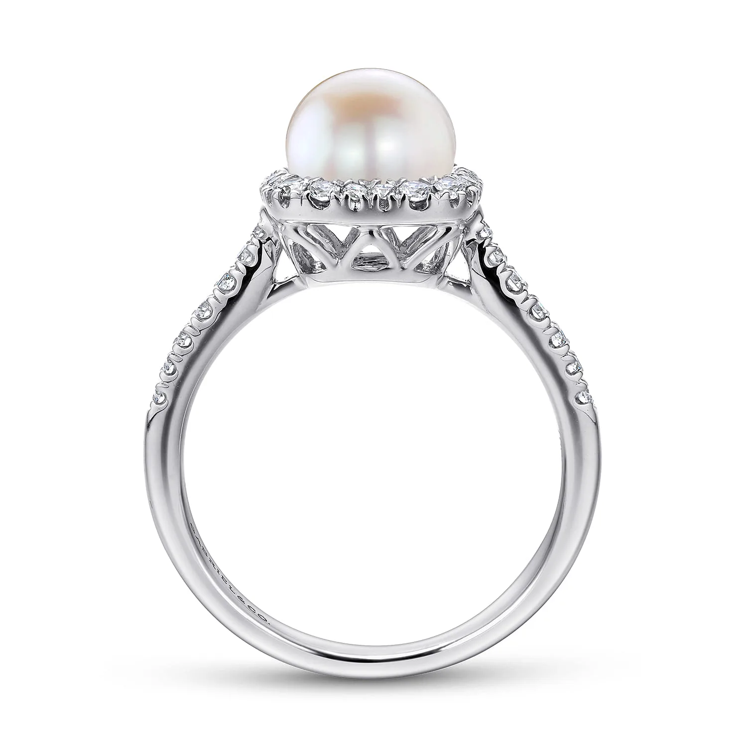 Classic Cultured Pearl and Diamond Halo Ring in 14K White Gold, photograph 2