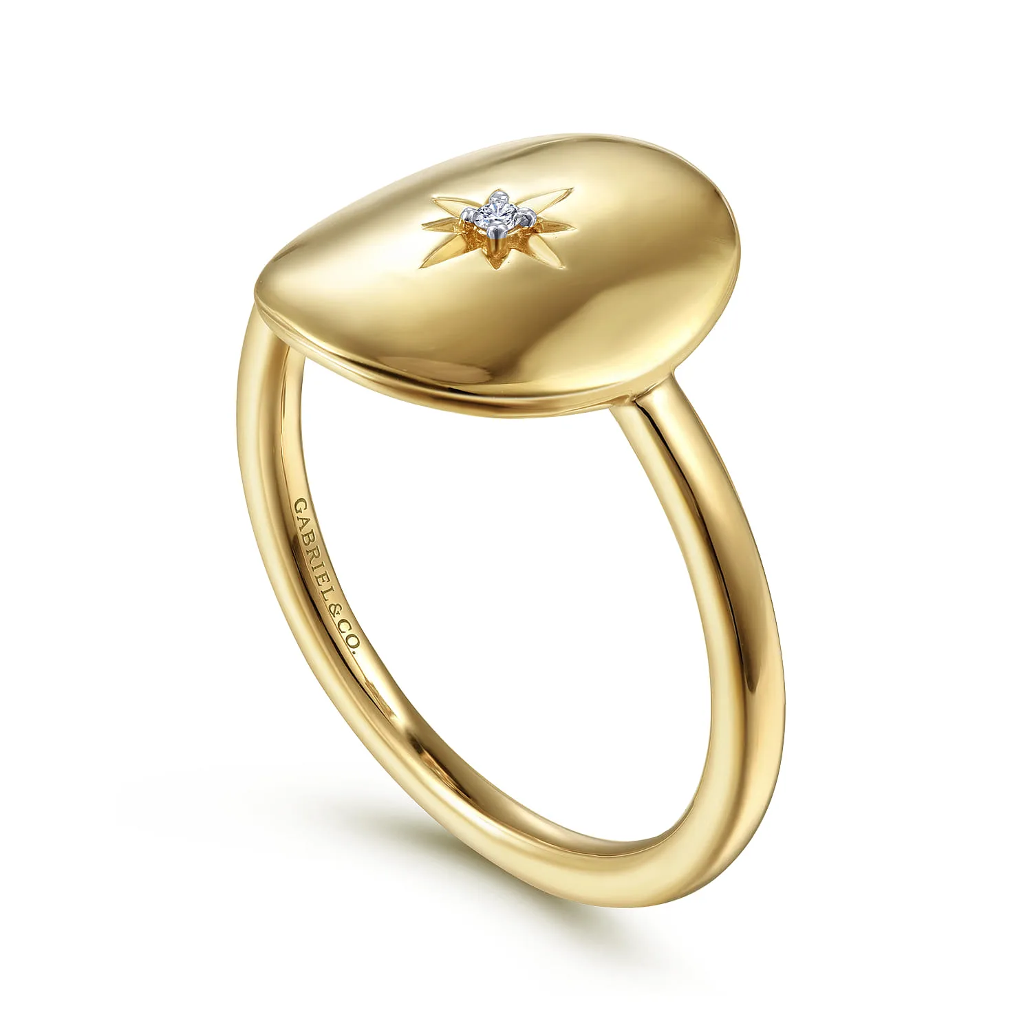 Medallion Ring with Diamond Star Center in 14K Yellow Gold, photograph 3