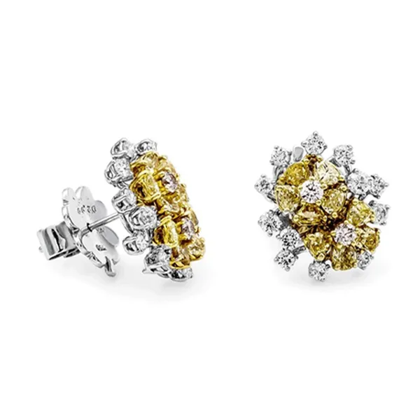 18K Two-Tone Gold Fancy Diamond Earrings